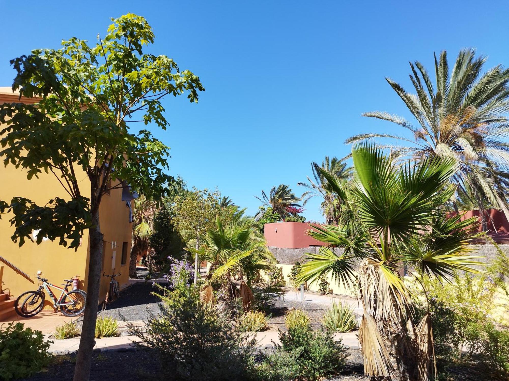 Cozy Apartment In Tamarindo 2 Corralejo Esterno foto